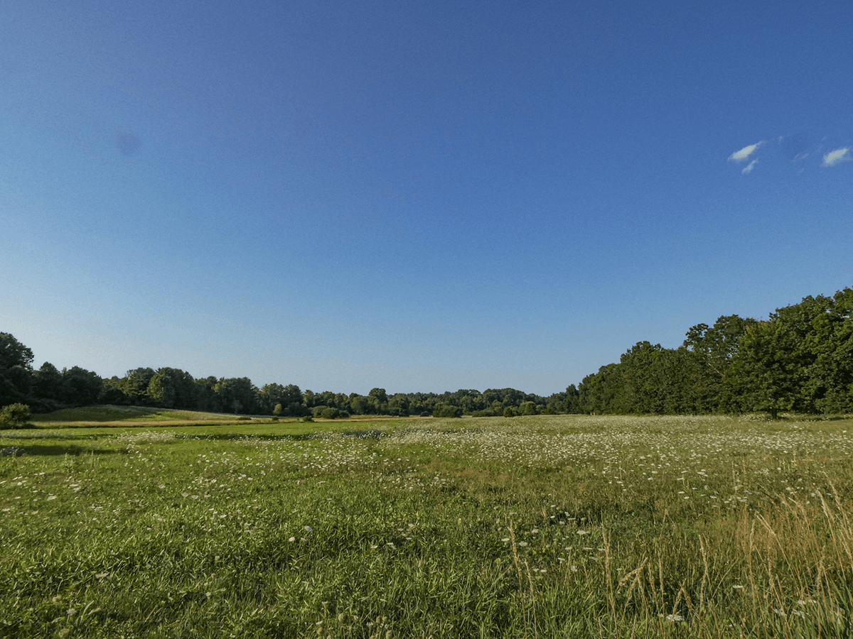 Terrain